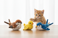 Plush Bird Pet Toy